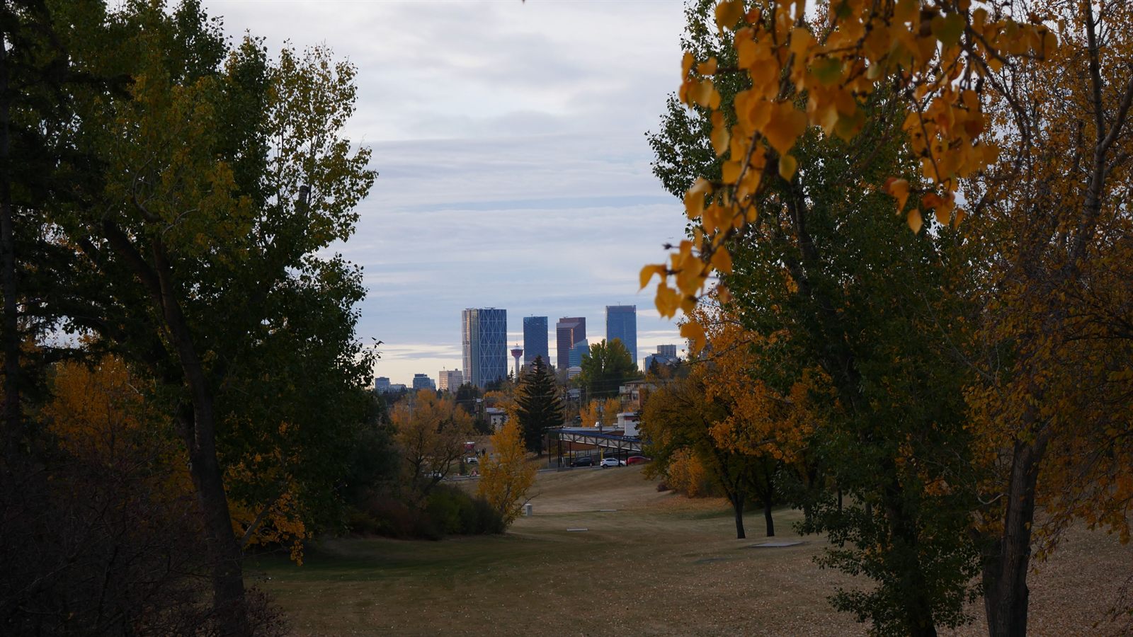 Calgary skyline seen through autumn trees