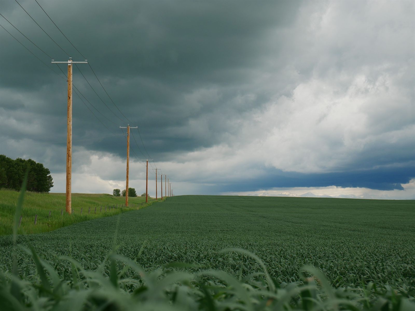 Green fields and power lines beneath a prairie sky